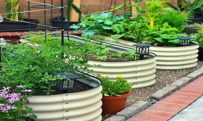 How Do You Ensure That Your Raised Bed Garden Is An Appropriate One?